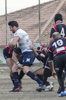 thumb_DSC_8811.JPG